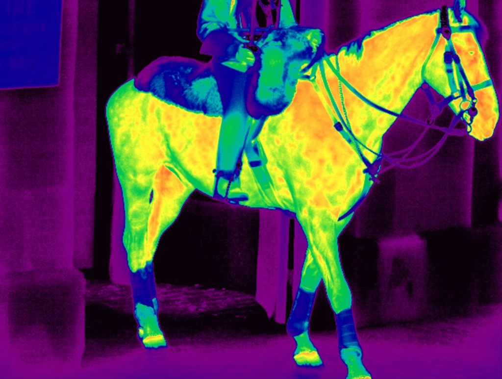 thermal infrared camera