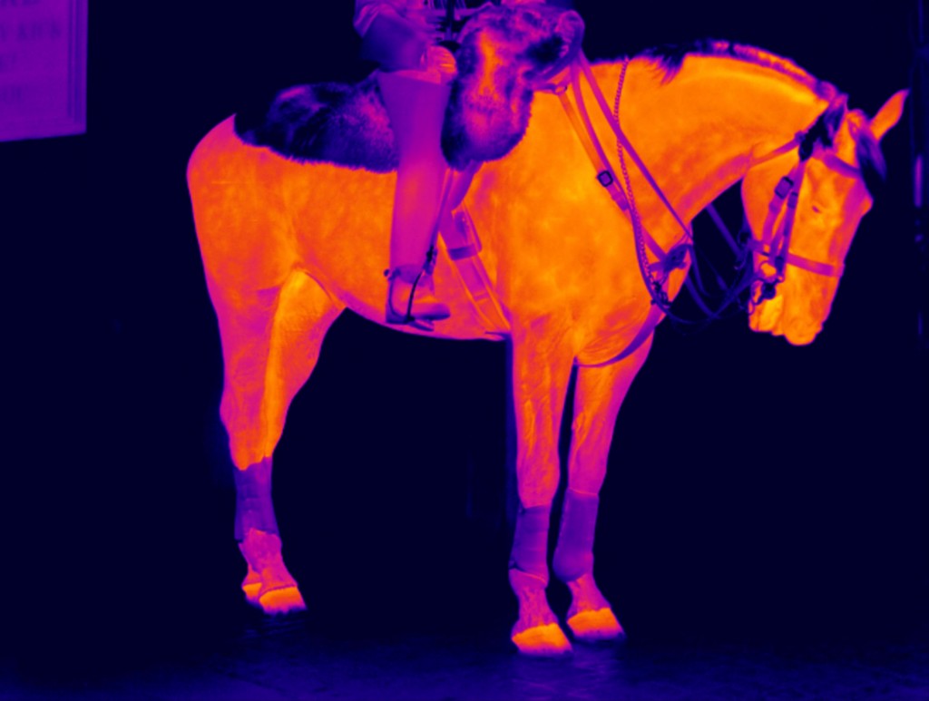 thermal imaging camera