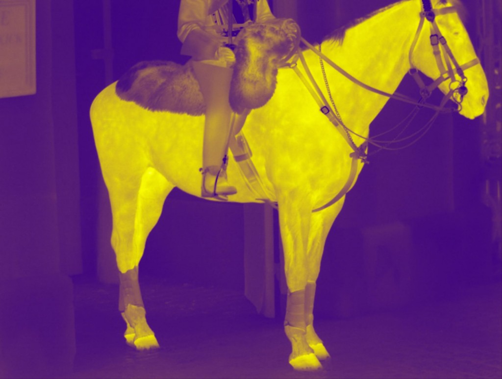 infrared camera